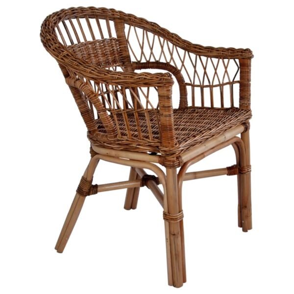 vidaXL Patio Chair Natural Rattan Brown